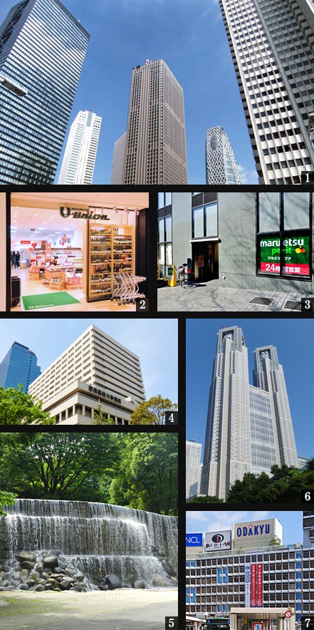 高級賃貸タワーマンション：ザ・パークハウス西新宿タワー60：周辺環境画像
