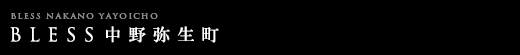 BLESS퐶b[v