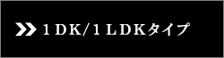 1DK/1LDK