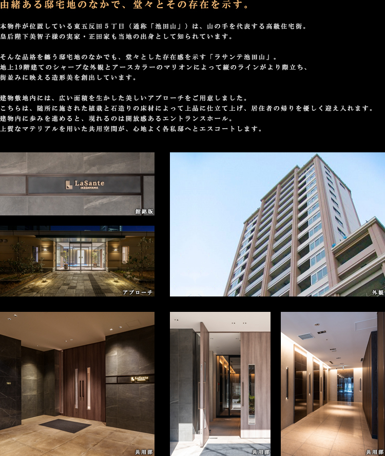 �R���Z�v�g01