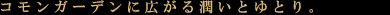OρE02Fo02