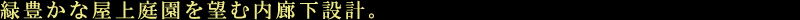 pEp{01Fo01