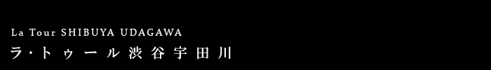 EgD[aJFcF݃^[}V
