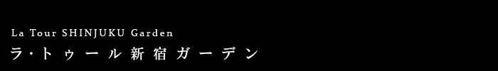 EgD[VhK[fF݃^[}V