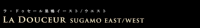 ラ・ドゥセール巣鴨イースト/ウエスト:高級賃貸マンション