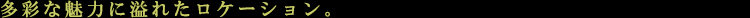 EFXNGACYbC[XgFP[VFo