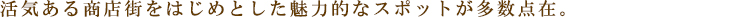ZOOM얃zFP[VFo