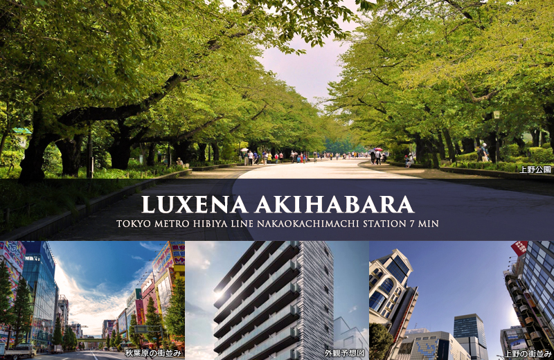 LUXENA AKIHABARA