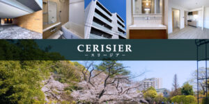 cerisier