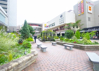 深川ギャザリア3