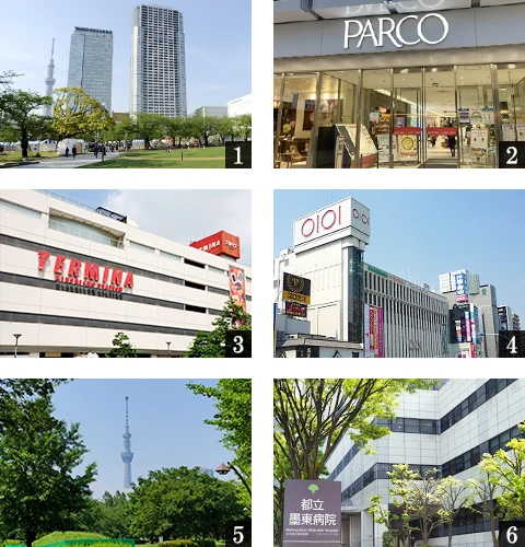 高級賃貸マンション：ダフィット錦糸町：周辺環境画像