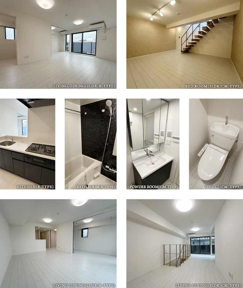 高級賃貸マンション：グランパセオ三宿：ルームプラン画像
