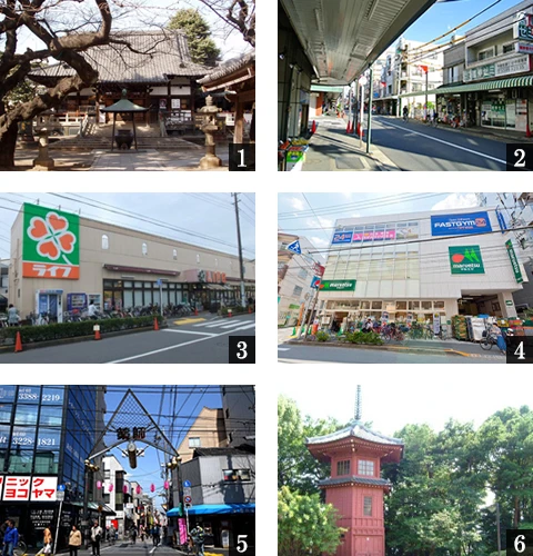 高級賃貸マンション：グランパセオ中野新井薬師前：周辺環境画像