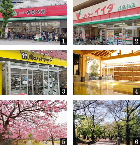 高級賃貸マンション：ルフォンリヴェント西巣鴨：周辺環境画像