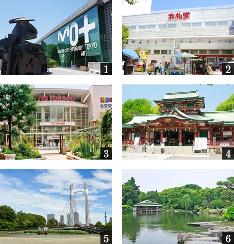 高級賃貸マンション：ルミーク門前仲町：周辺環境画像
