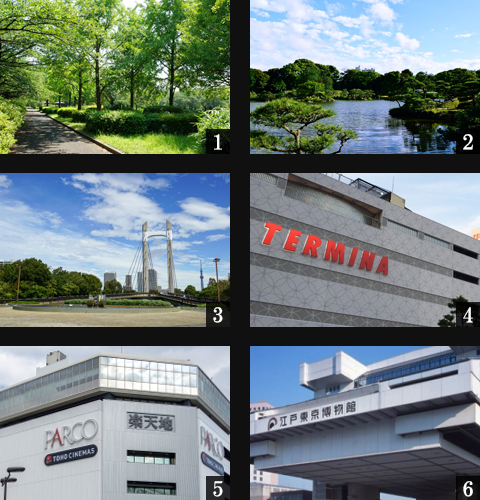 高級賃貸マンション：MFPRコート菊川：周辺環境画像