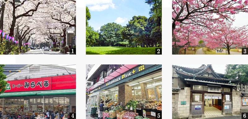 高級賃貸マンション：ミレーネ滝野川：周辺環境画像