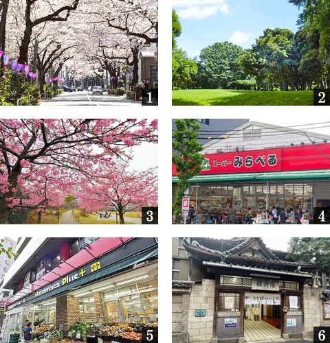 高級賃貸マンション：ミレーネ滝野川：周辺環境画像