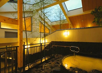 武蔵小山温泉 清水湯