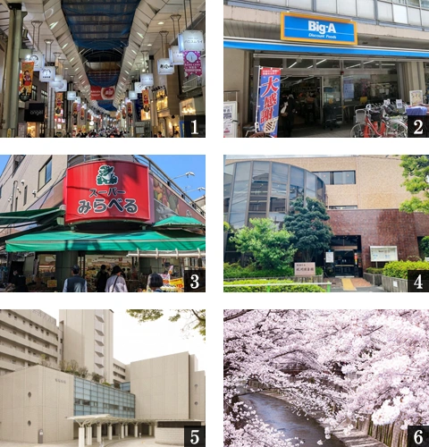 高級賃貸マンション：S-RESIDENCE板橋大山clair：周辺環境画像