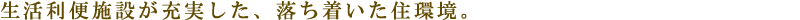 生活利便施設が充実した、落ち着いた住環境。