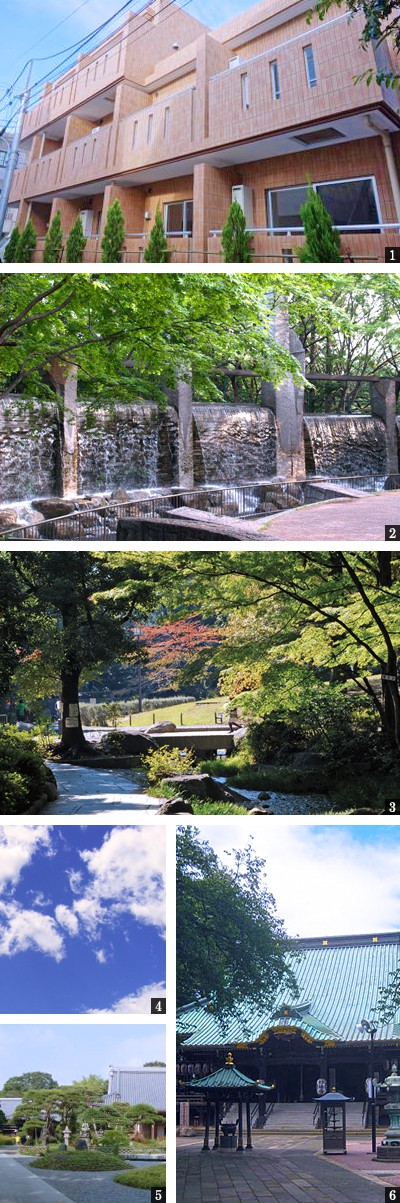 高級賃貸マンション：ウェルカーサ蚕糸の森公園：コンセプト画像